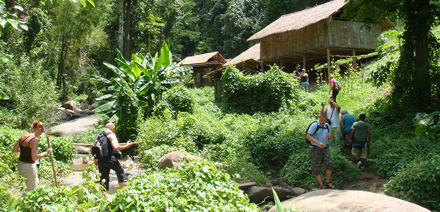 FULL DAY EXPERIENCE TREK MAE TAENG AREA