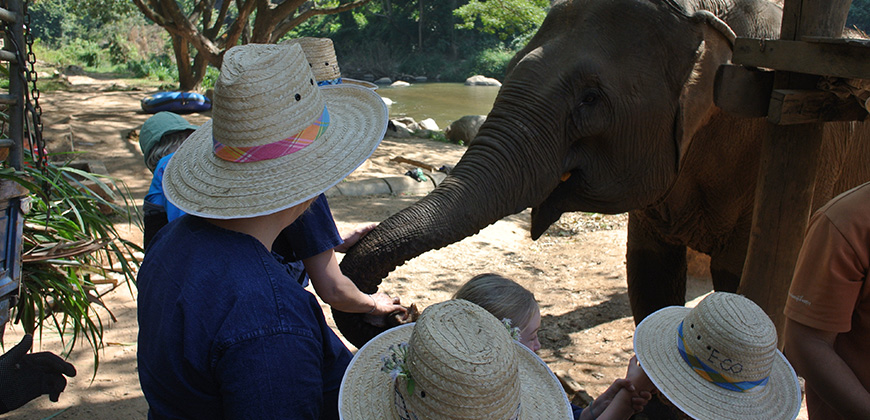 FULL DAY EXPERIENCE TREK MAE TAENG AREA