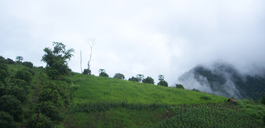 2 DAYS 1 NIGHT TREK SANPATONG AREA