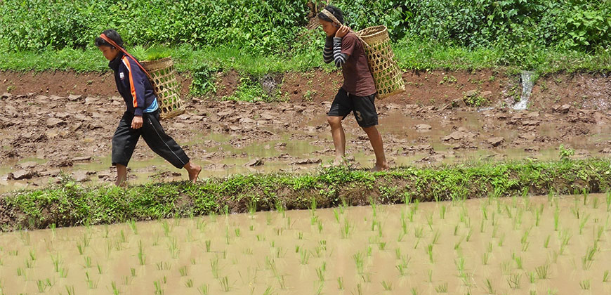 3 DAYS 2 NIGHTS TREK MAE HONG SORN AREA